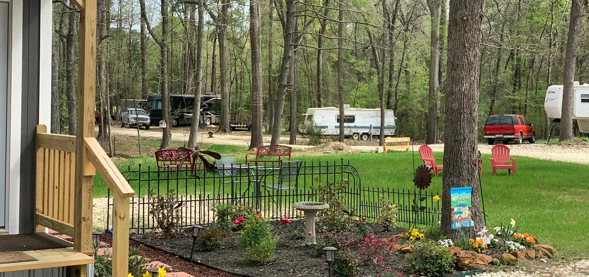 Bird Watching at Songbird RV Park Near Palestine Texas 