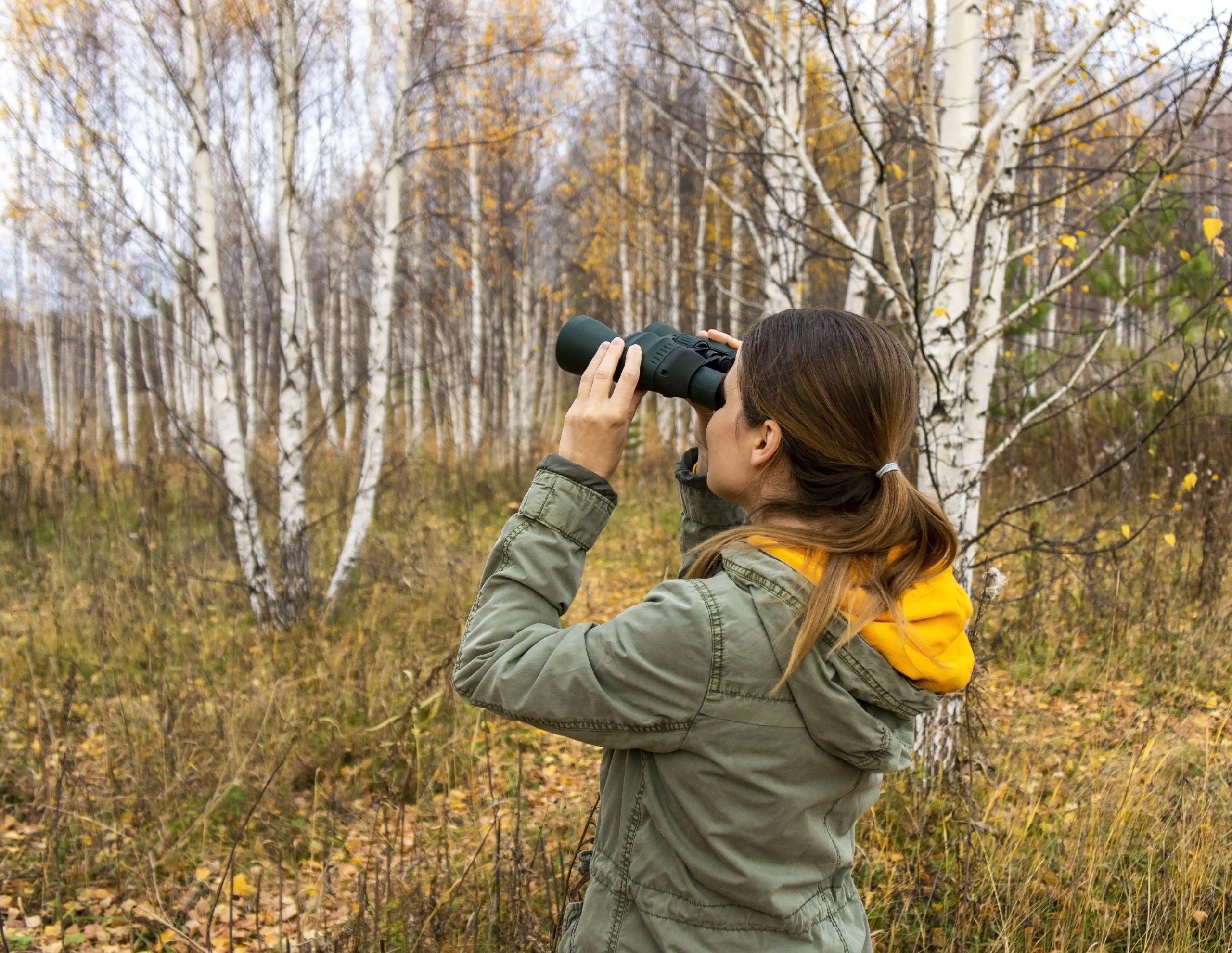 Birding at Songbird Rv Park in Elkhart Texas – Songbird RV Park 4