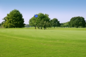 Beautigul Golf green grass sport fields - Songbird RV Park 2