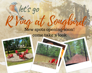 songbird Rv Park Texas - Songbird RV Park 2